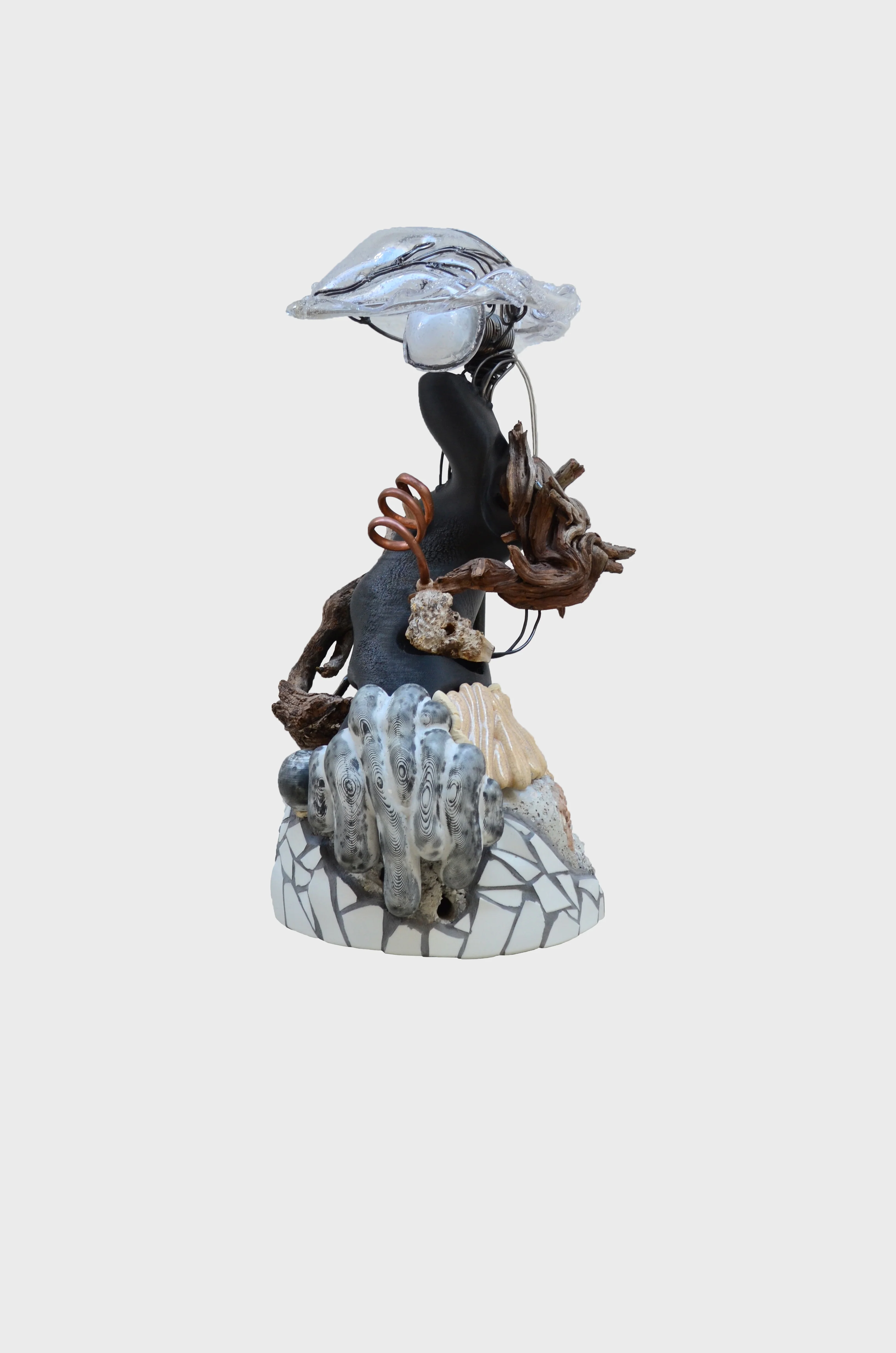 Burl; Diamond of The Forest - Lamp