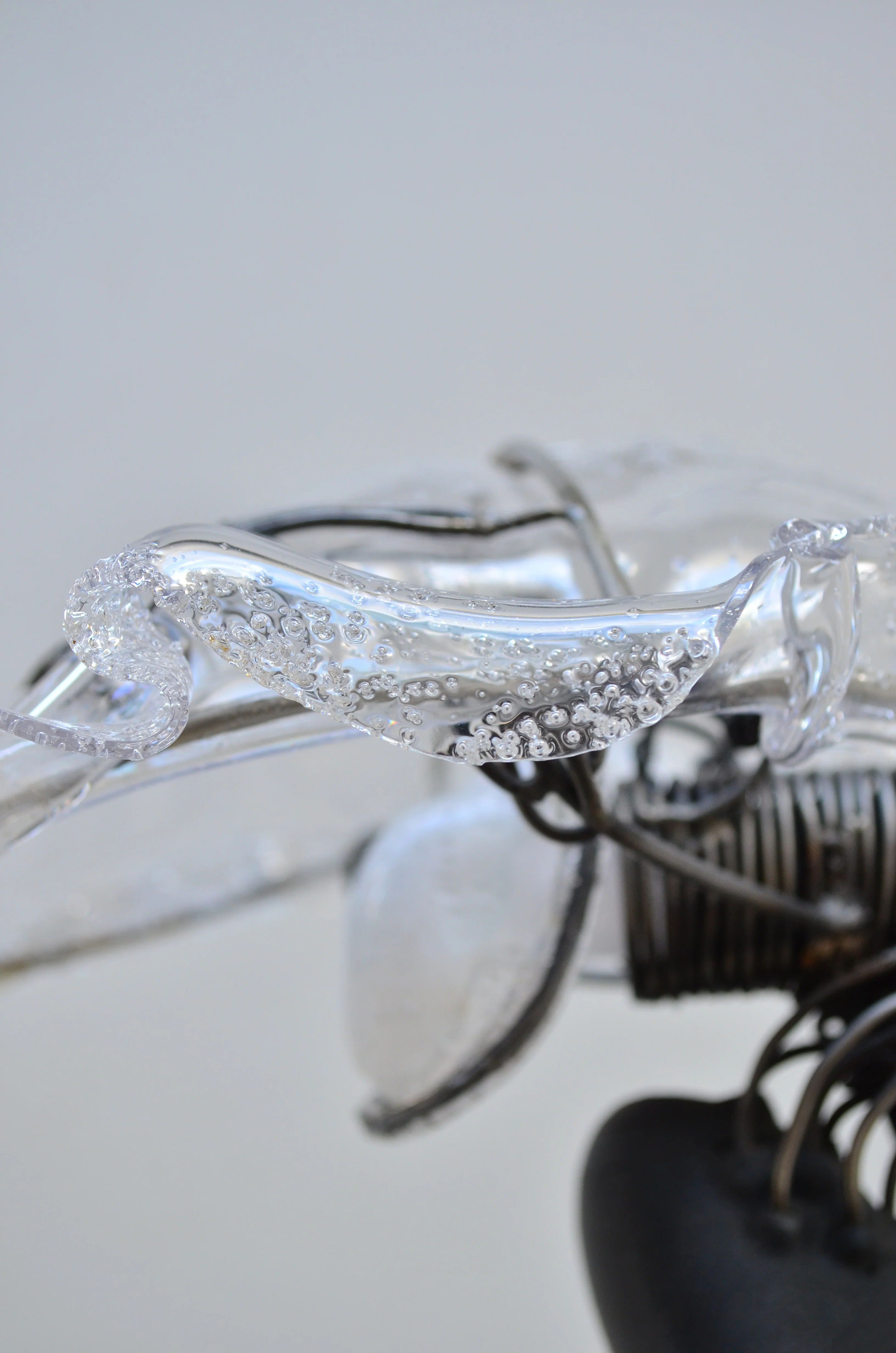 Burl; Diamond of The Forest - Lamp - Image 2