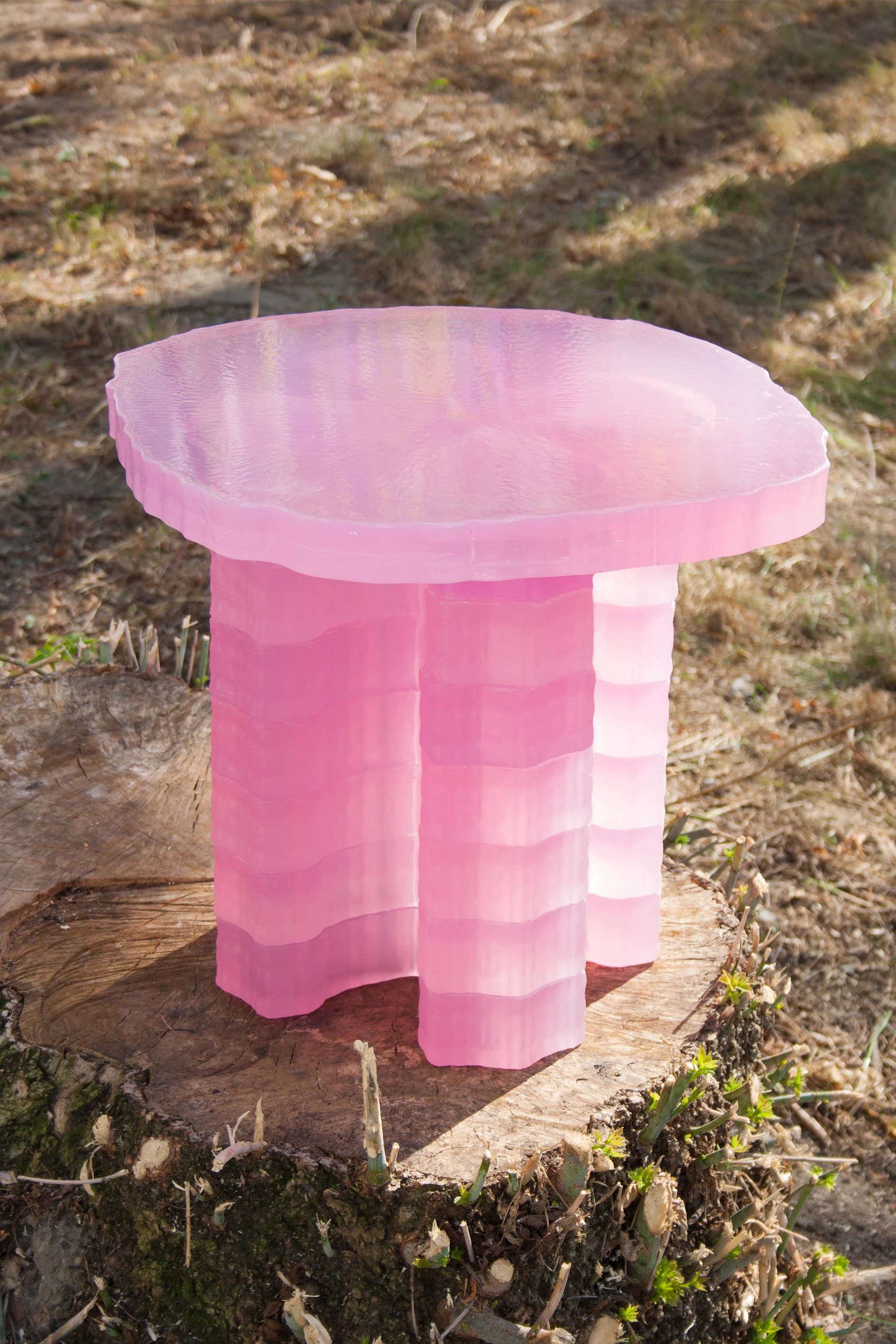Coffetable - Image 4