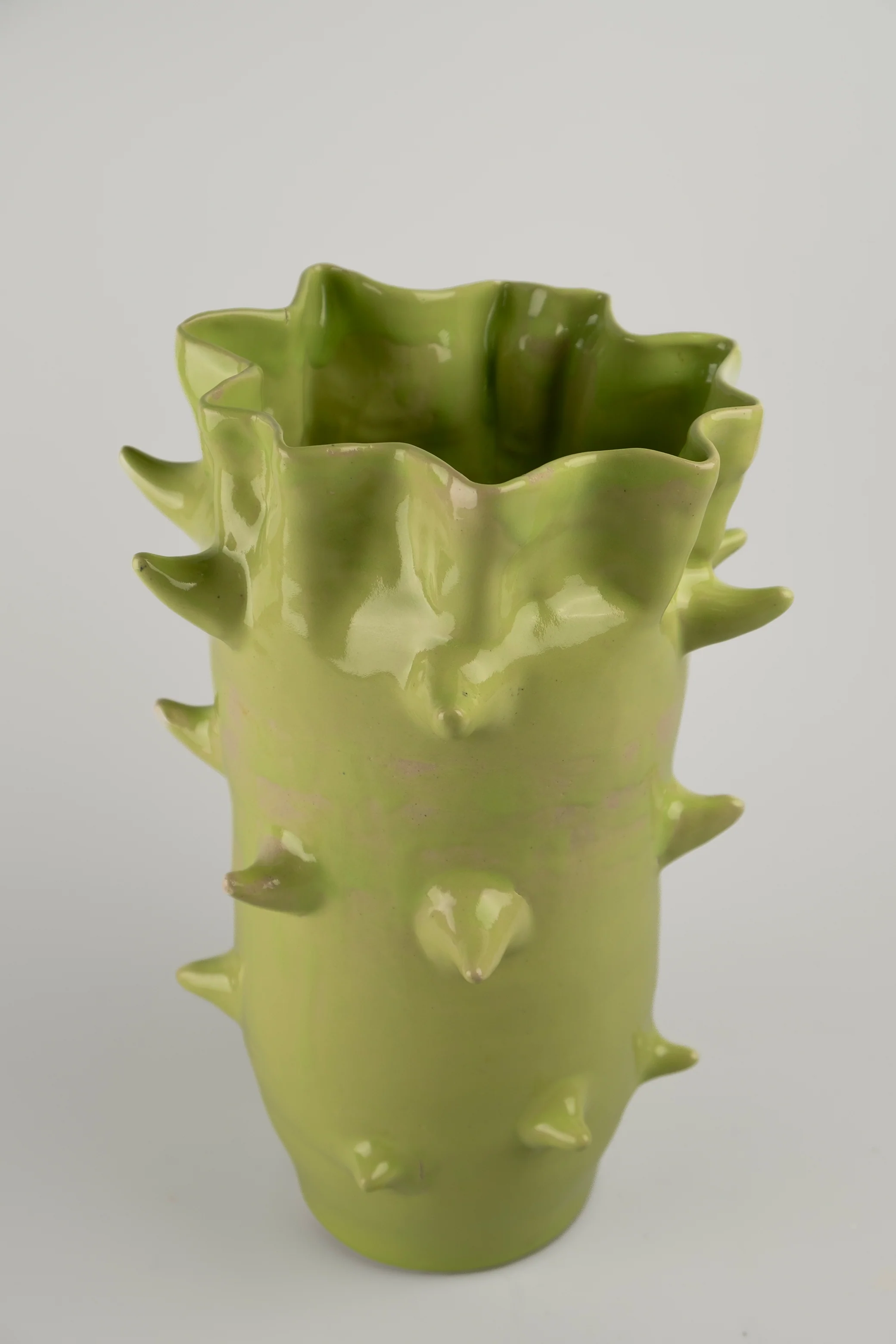 Fossil vase - Image 3
