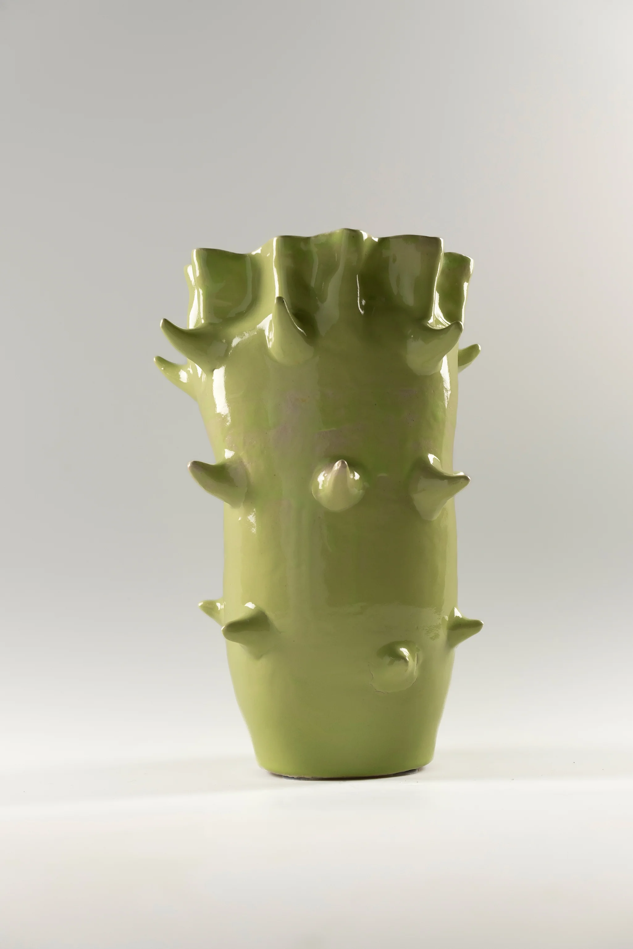 Fossil vase - Image 4
