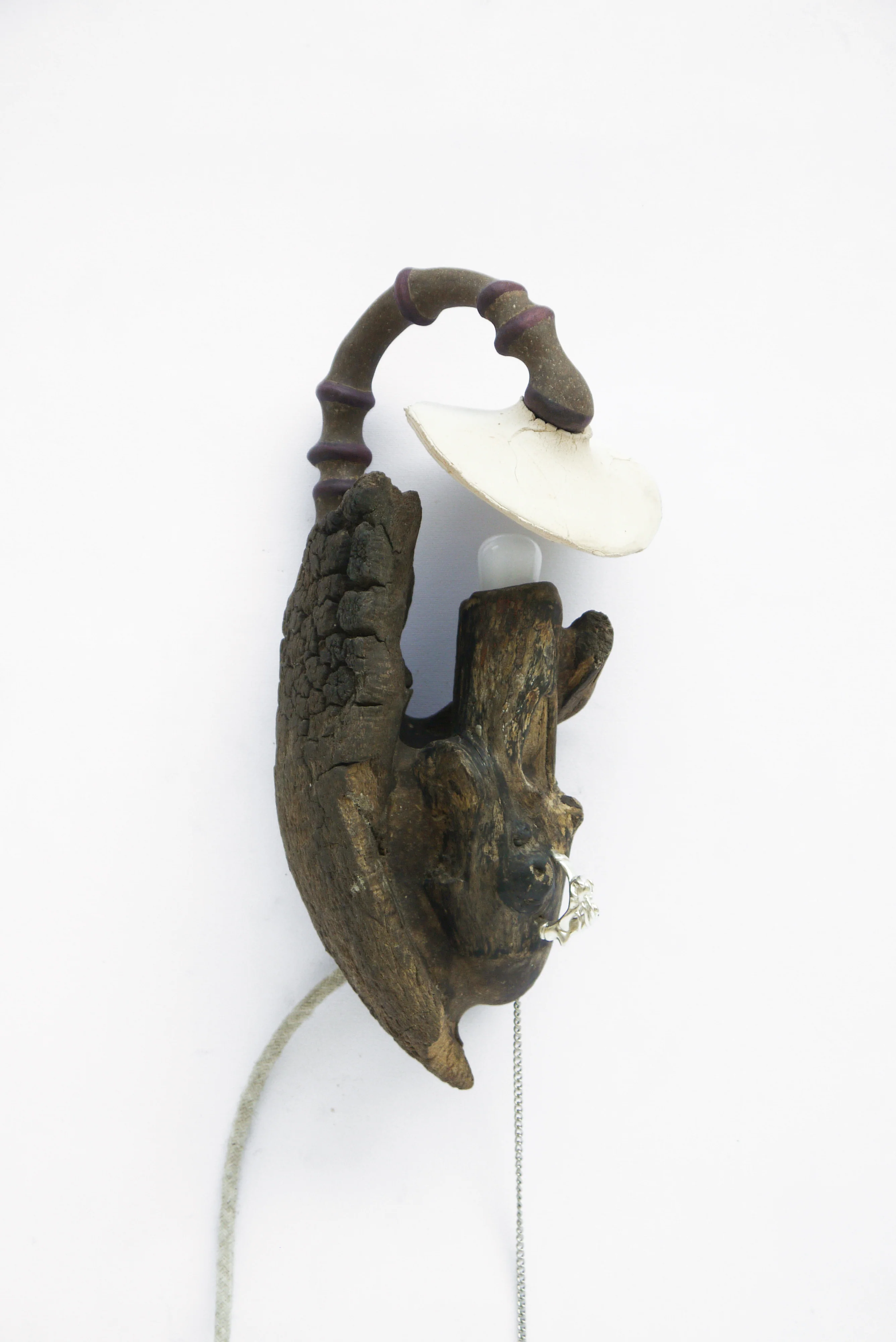 Frond - Wall Sconce