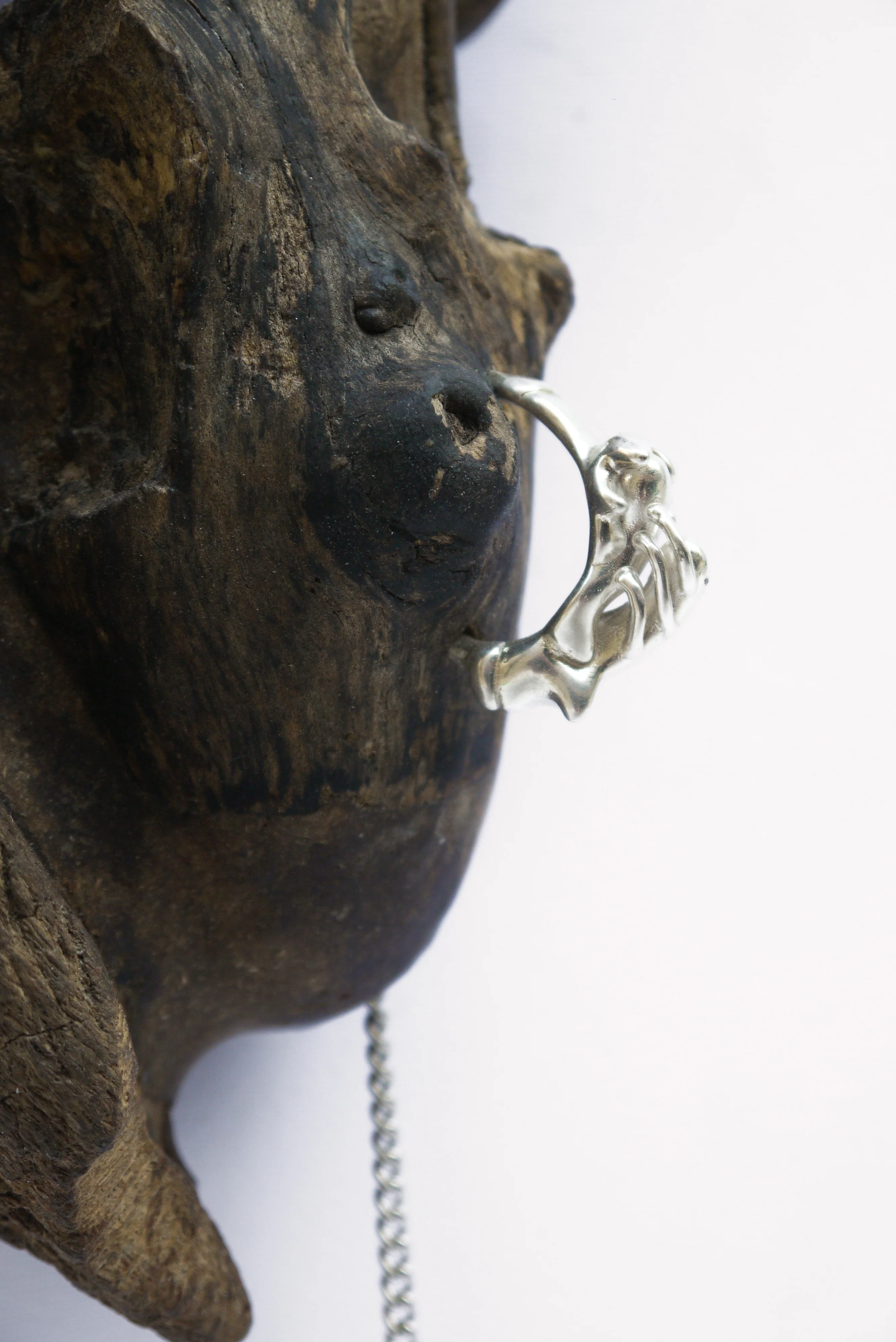 Frond - Wall Sconce - Image 3