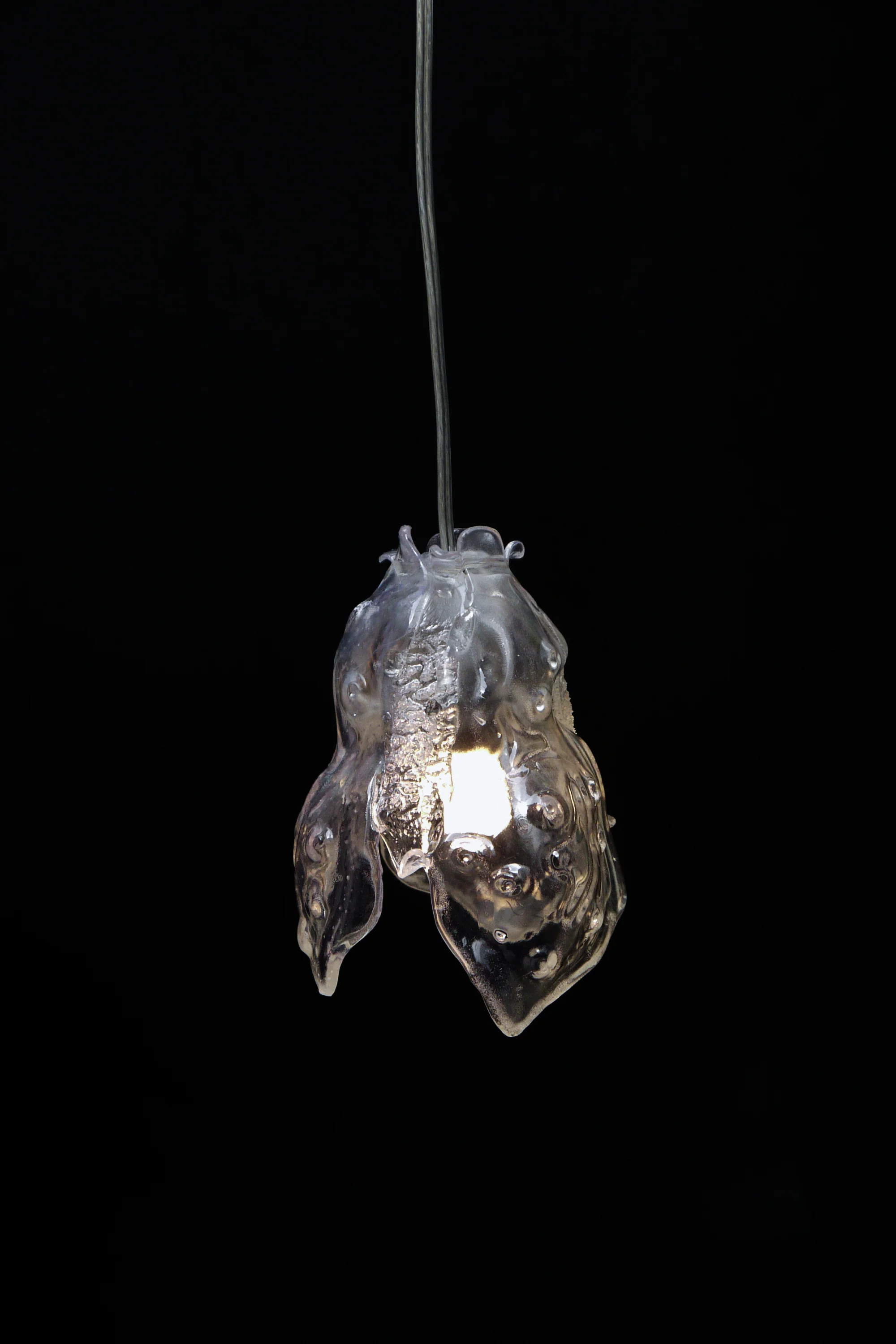 HL_02 - Image 3