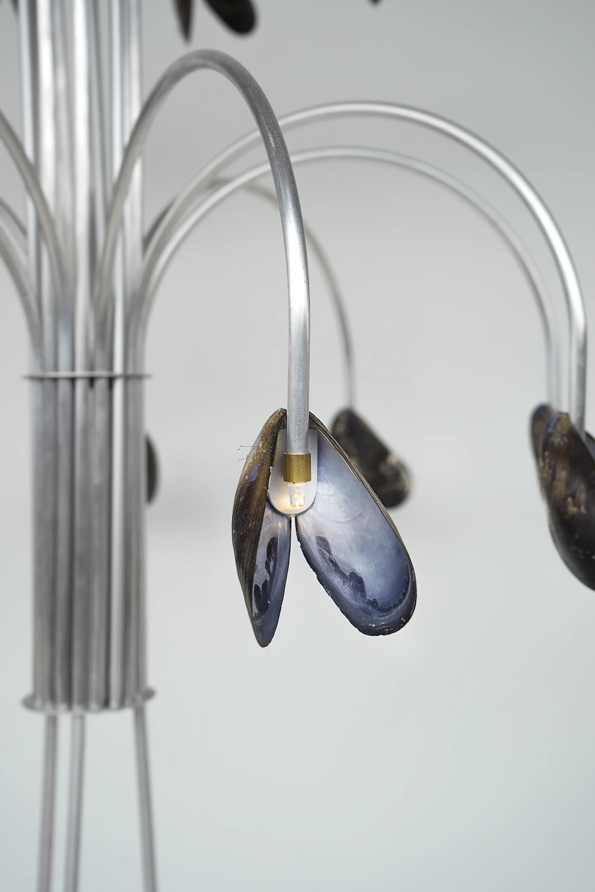 Shell light - Image 2