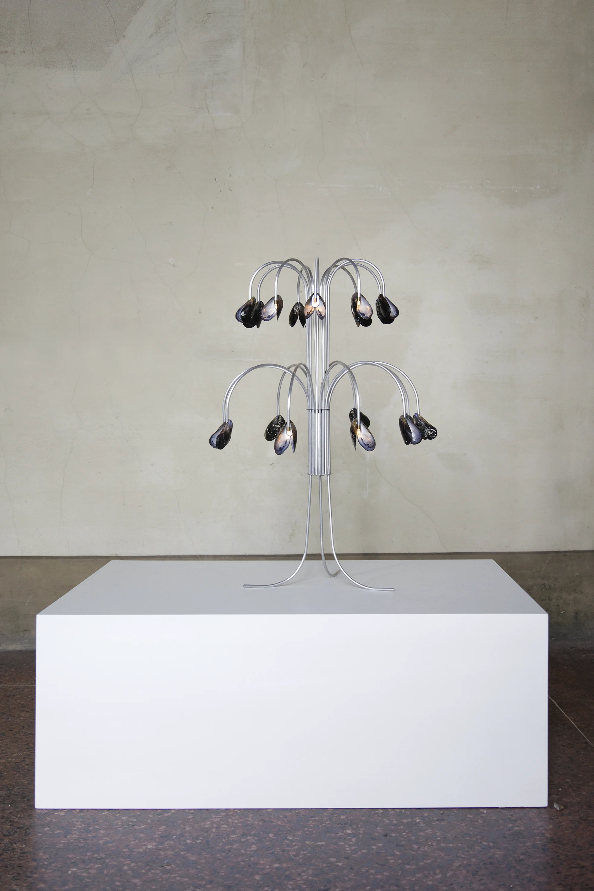 Shell light - Image 3