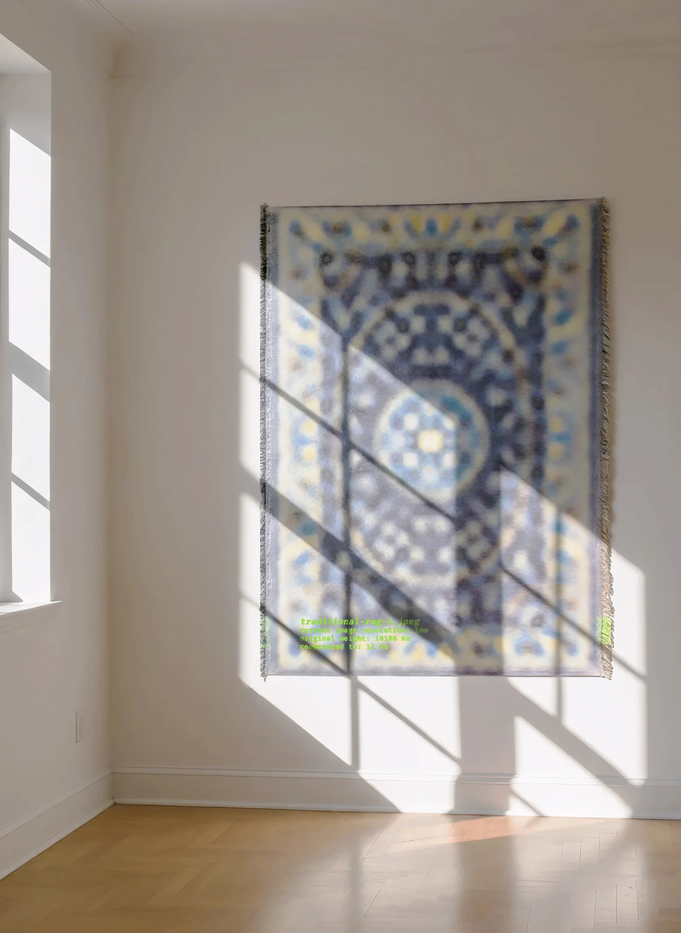 traditional-rug-1.jpeg - Image 5
